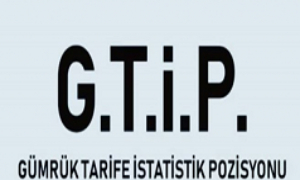 G.T.İ.P Nedir Ve Ne İşe Yarar?  Gtip Kodu Sorgulama İşlemi Nasıl Yapılır?
