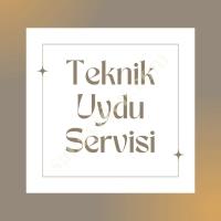 ÜMRANİYE ÇARŞI'DAKİ UYDUCU'YUZ !, Electronic Systems
