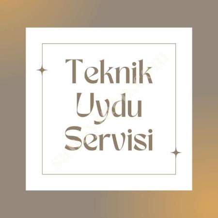 ÜMRANİYE ÇARŞI'DAKİ UYDUCU'YUZ !, Electronic Systems
