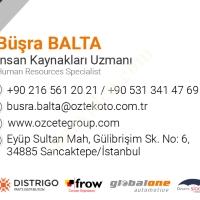 WE ARE LOOKING FOR A MECHANICAL BODY AND PAINT TECHNICIAN – ÖZTEK MOTOR VEHICLES, Auto Parts