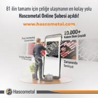 SICAK HADDELENMİŞ VASIFLI ÇELİKLER, Haddelenmiş Mamuller